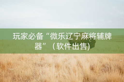 玩家必备“微乐辽宁麻将辅牌器”（软件出售)