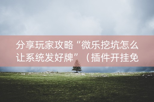 分享玩家攻略“微乐挖坑怎么让系统发好牌”（插件开挂免费AI)