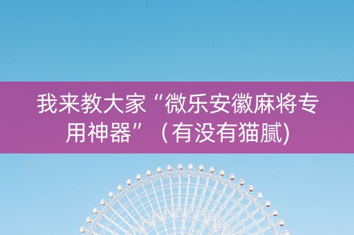 我来教大家“微乐安徽麻将专用神器”（有没有猫腻)