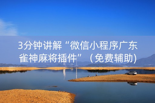 3分钟讲解“微信小程序广东雀神麻将插件”（免费辅助)