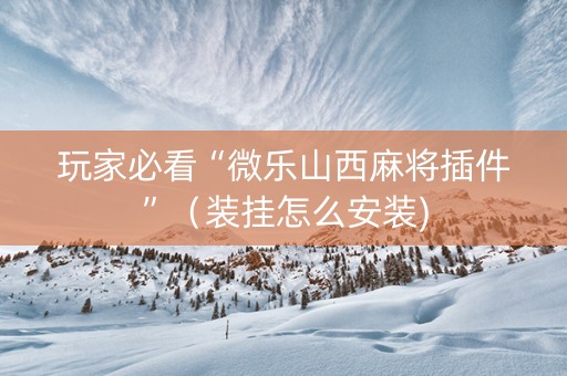 玩家必看“微乐山西麻将插件”（装挂怎么安装)