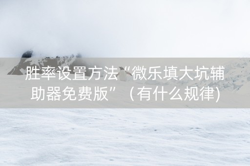 胜率设置方法“微乐填大坑辅助器免费版”（有什么规律)