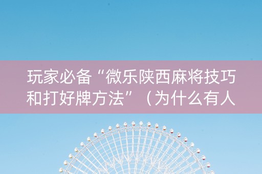 玩家必备“微乐陕西麻将技巧和打好牌方法”（为什么有人一直赢)