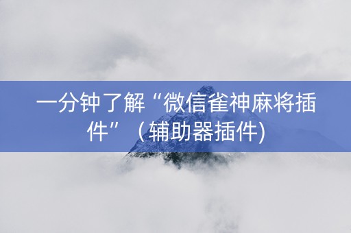 一分钟了解“微信雀神麻将插件”（辅助器插件)