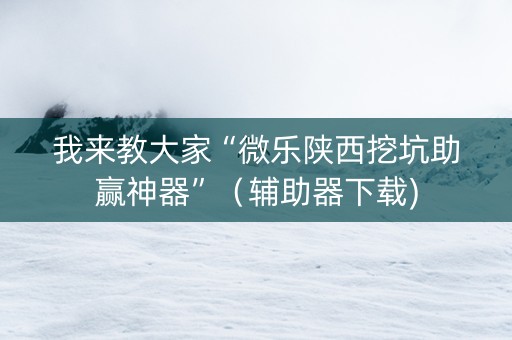 我来教大家“微乐陕西挖坑助赢神器”（辅助器下载)