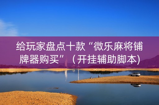 给玩家盘点十款“微乐麻将铺牌器购买”（开挂辅助脚本)