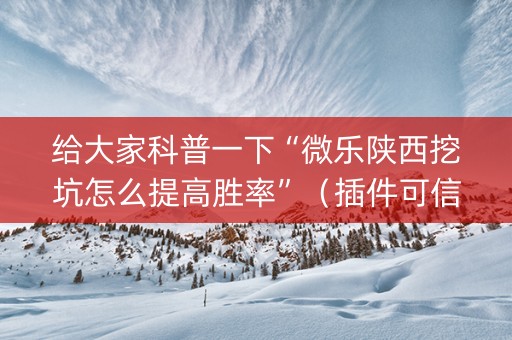 给大家科普一下“微乐陕西挖坑怎么提高胜率”（插件可信吗)