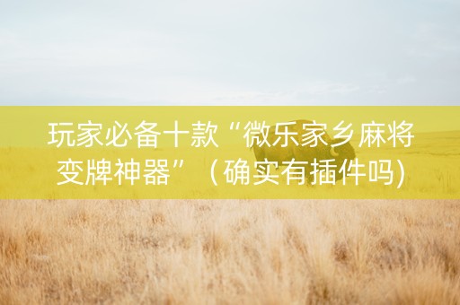 玩家必备十款“微乐家乡麻将变牌神器”（确实有插件吗)