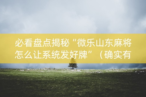 必看盘点揭秘“微乐山东麻将怎么让系统发好牌”（确实有插件吗)