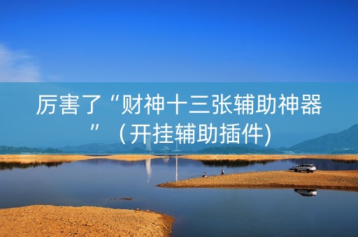 厉害了“财神十三张辅助神器”（开挂辅助插件)