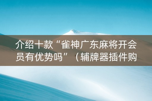 介绍十款“雀神广东麻将开会员有优势吗”（辅牌器插件购买)