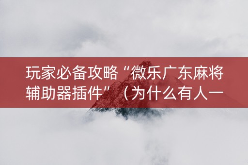 玩家必备攻略“微乐广东麻将辅助器插件”（为什么有人一直赢)