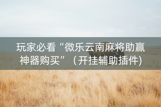 玩家必看“微乐云南麻将助赢神器购买”（开挂辅助插件)