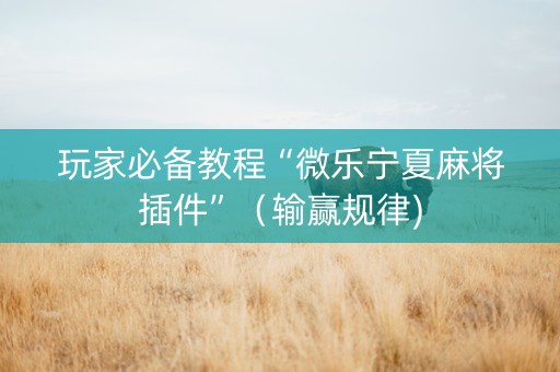 玩家必备教程“微乐宁夏麻将插件”（输赢规律)