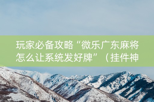 玩家必备攻略“微乐广东麻将怎么让系统发好牌”（挂件神器)