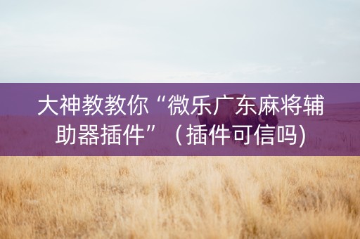 大神教教你“微乐广东麻将辅助器插件”（插件可信吗)