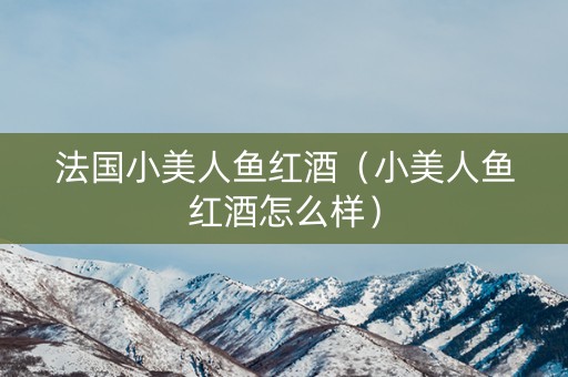 法国小美人鱼红酒（小美人鱼红酒怎么样）