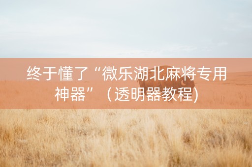 终于懂了“微乐湖北麻将专用神器”（透明器教程)