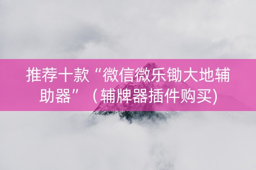 推荐十款“微信微乐锄大地辅助器”（辅牌器插件购买)