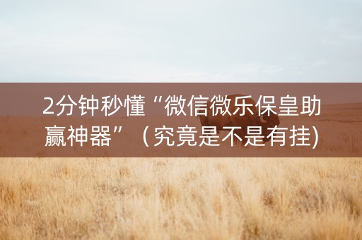 2分钟秒懂“微信微乐保皇助赢神器”（究竟是不是有挂)