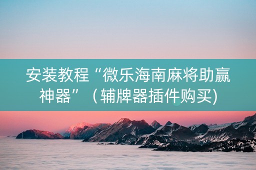 安装教程“微乐海南麻将助赢神器”（辅牌器插件购买)