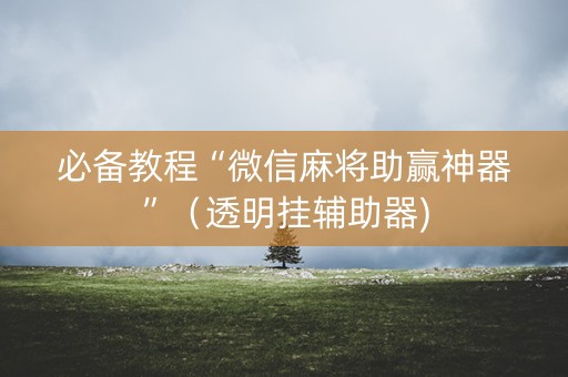 必备教程“微信麻将助赢神器”（透明挂辅助器)