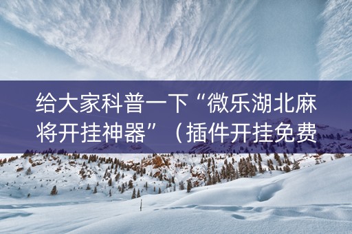 给大家科普一下“微乐湖北麻将开挂神器”（插件开挂免费AI)