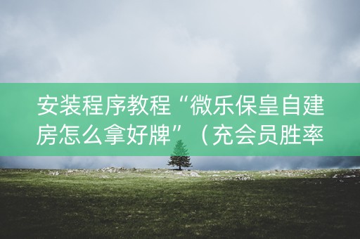 安装程序教程“微乐保皇自建房怎么拿好牌”（充会员胜率高)