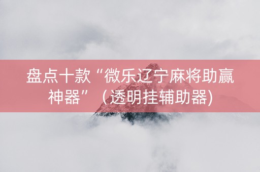 盘点十款“微乐辽宁麻将助赢神器”（透明挂辅助器)