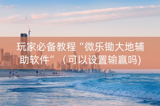 玩家必备教程“微乐锄大地辅助软件”（可以设置输赢吗)