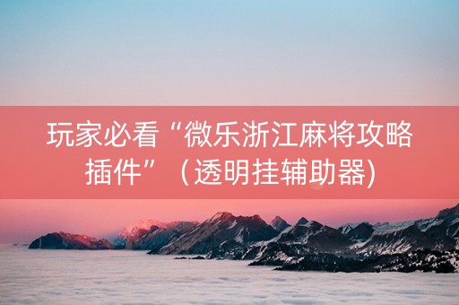 玩家必看“微乐浙江麻将攻略插件”（透明挂辅助器)