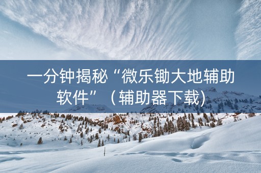 一分钟揭秘“微乐锄大地辅助软件”（辅助器下载)