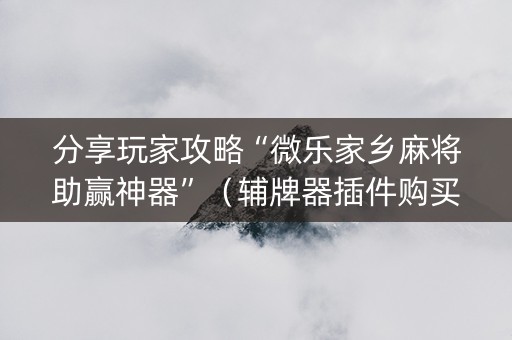 分享玩家攻略“微乐家乡麻将助赢神器”（辅牌器插件购买)