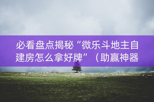 必看盘点揭秘“微乐斗地主自建房怎么拿好牌”（助赢神器购买)