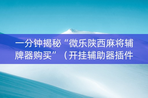 一分钟揭秘“微乐陕西麻将辅牌器购买”（开挂辅助器插件)