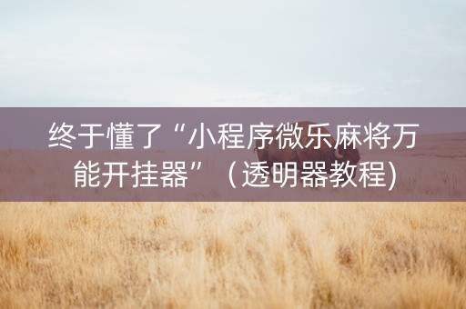 终于懂了“小程序微乐麻将万能开挂器”（透明器教程)
