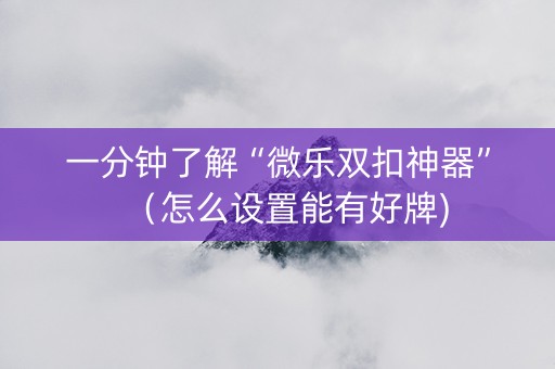 一分钟了解“微乐双扣神器”（怎么设置能有好牌)