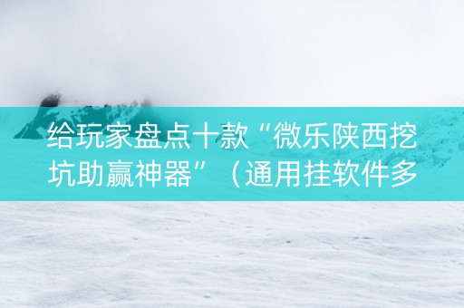 给玩家盘点十款“微乐陕西挖坑助赢神器”（通用挂软件多少钱)