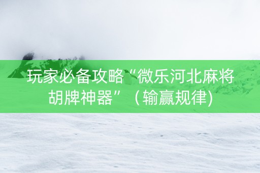 玩家必备攻略“微乐河北麻将胡牌神器”（输赢规律)