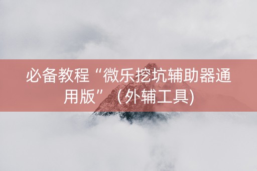 必备教程“微乐挖坑辅助器通用版”（外辅工具)