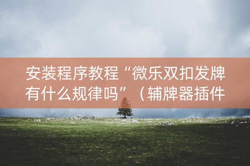 安装程序教程“微乐双扣发牌有什么规律吗”（辅牌器插件购买)