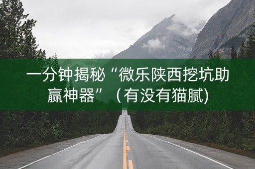 一分钟揭秘“微乐陕西挖坑助赢神器”（有没有猫腻)