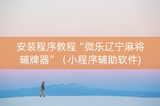 安装程序教程“微乐辽宁麻将辅牌器”（小程序辅助软件)
