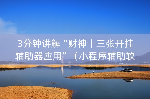 3分钟讲解“财神十三张开挂辅助器应用”（小程序辅助软件)