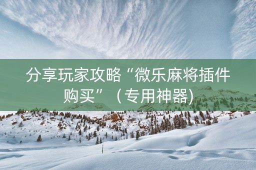 分享玩家攻略“微乐麻将插件购买”（专用神器)