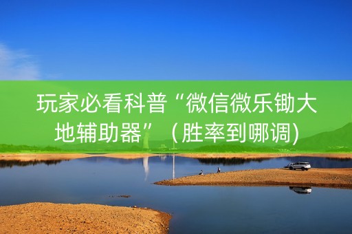 玩家必看科普“微信微乐锄大地辅助器”（胜率到哪调)