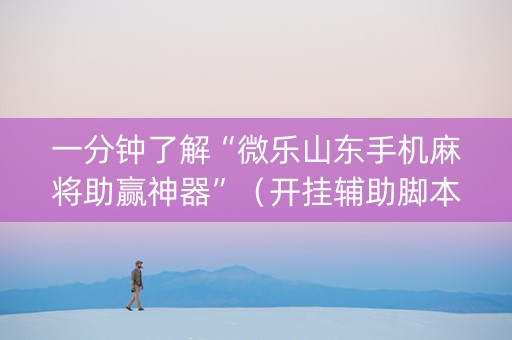 一分钟了解“微乐山东手机麻将助赢神器”（开挂辅助脚本)
