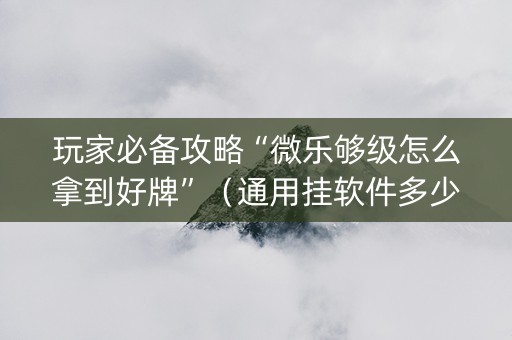 玩家必备攻略“微乐够级怎么拿到好牌”（通用挂软件多少钱)