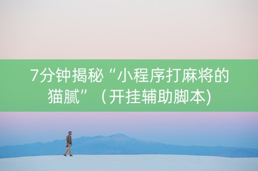 7分钟揭秘“小程序打麻将的猫腻”（开挂辅助脚本)