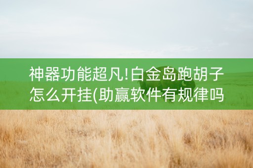 神器功能超凡!白金岛跑胡子怎么开挂(助赢软件有规律吗)